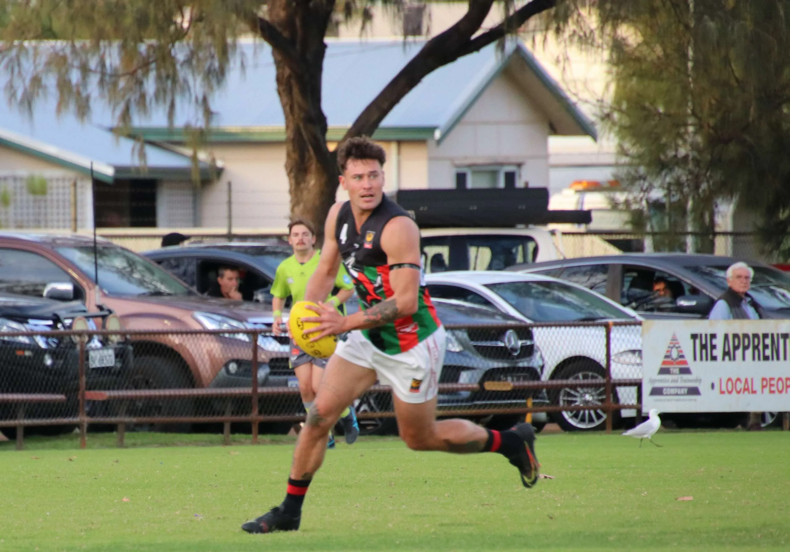 Harvey Bulls Need To Bounce Back